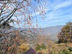 -树山生态村