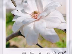 -杭州植物园