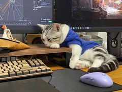 -Bastet sally猫舍购宠(静安店)