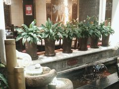 -红鼎坊·老成都火锅(新南门店)