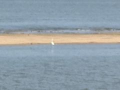 -人民防洪胜利纪念塔