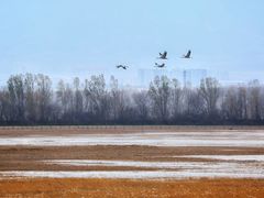 -野鸭湖国家湿地公园