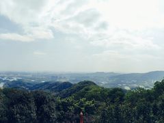 -大屏嶂森林公园