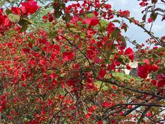 -眉山湿地公园(东坡区)