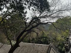 -潭柘寺景区