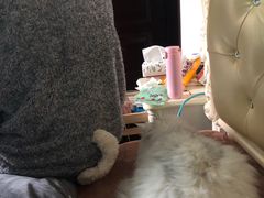 -大洋晶典(东街店)