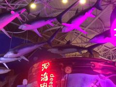 -烟台海昌鲸鲨海洋公园