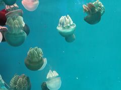 -广州海洋馆