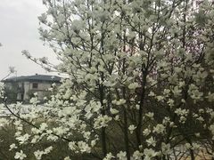 -扬州瘦西湖汇金酒店