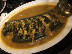 -甄御•海鲜新青岛菜(麦岛店)