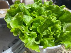 -安又胖韩国烤肉(泰达永旺店)