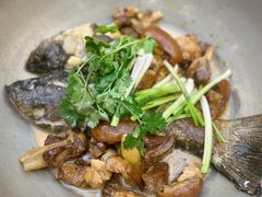 -飞尝蚝·顺德菜·鱼生(顺德总店)