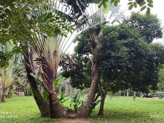 -红色娘子军纪念园