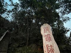 -铁山坪森林公园
