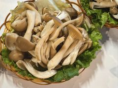-菌海森林·非遗野生菌火锅(西山区滇池路摩根道店)