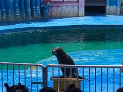 -华夏文旅海洋公园