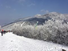 -安吉龙王山风景区