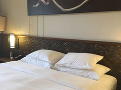 -西双版纳融创皇冠假日度假酒店