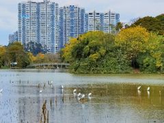 -金山公园