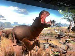 -陕西自然博物馆