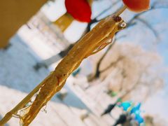 -长春市南湖公园