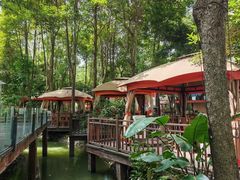 -二荆条·蜀鲜汇城市森林火锅