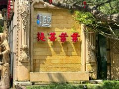 -叶叶菩提(太原别墅店)