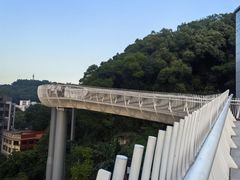 -金鸡山公园