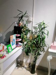 -CP·STUDIO发型工作室