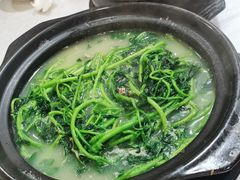 -万年酒楼(越秀南路店)