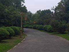 -梁鸿国家湿地公园