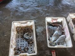 -南澳海滩