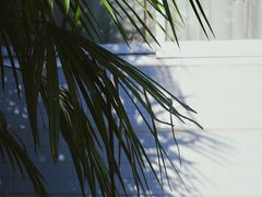 -四川大学(江安校区)