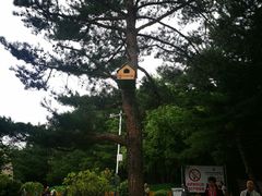 景点-帽儿山国家森林公园