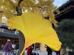 -龙华素斋(龙华路店)