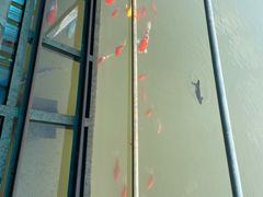 -陶祖圣境风景区