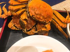 大闸蟹-东方红海鲜百汇(国际大厦店)