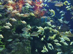 -成都浩海立方海洋公园