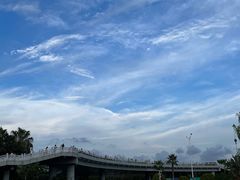 -宝安西湾红树林湿地公园