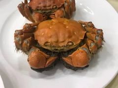 -王宝和酒家(黄浦店)