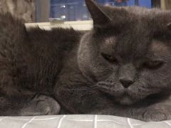 -宠颐生中康贝怡动物医院