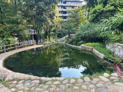 -成都市活水公园