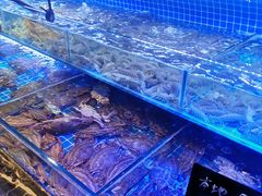 -渔民船说·北塘海鲜·天津菜·海肠捞饭(北塘古镇店)
