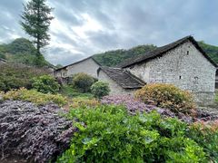 -高荡千年布依古寨旅游景区