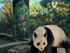 -天津市动物园
