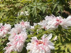 -幕燕滨江·燕子矶公园
