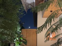 -芸鲜季·云南野生菌餐厅· 云南风物味研社(闵行店)