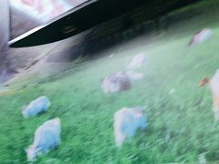 -大头亮羊汤烩面·河南非遗(良乡总店)
