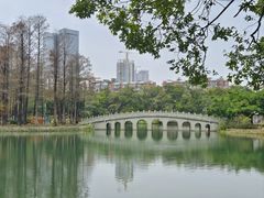 -四海公园(南山区)