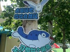 -秦皇岛乐岛海洋王国